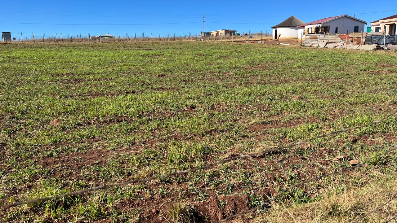 Mhlabomusha project gallery